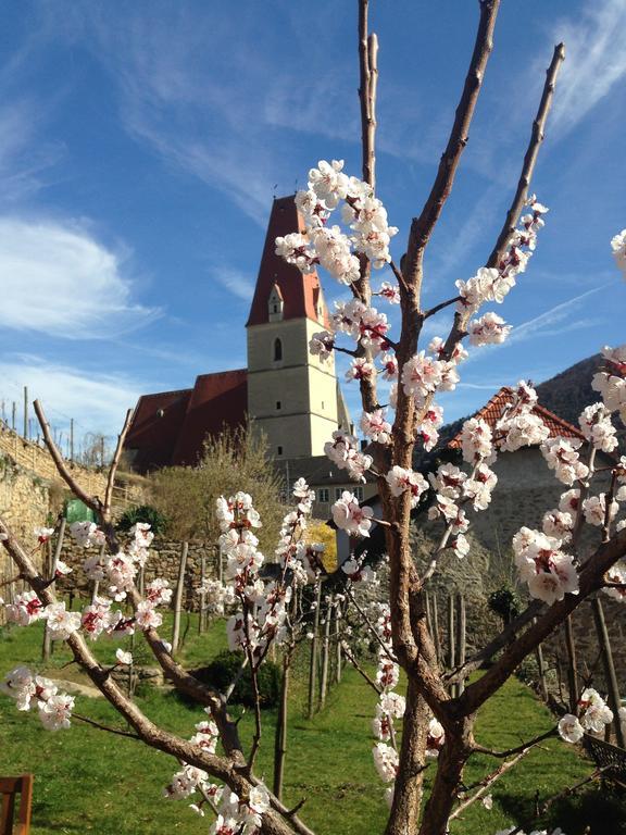 Gaestehaus Haiminger Ehemalig Schmelz Weissenkirchen in der Wachau Exterior foto